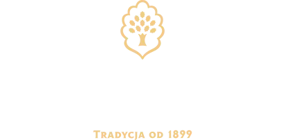 Strona główna